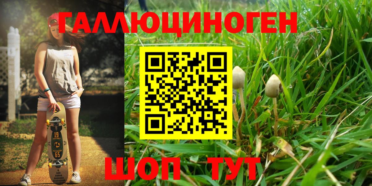 Меф Кандалакша