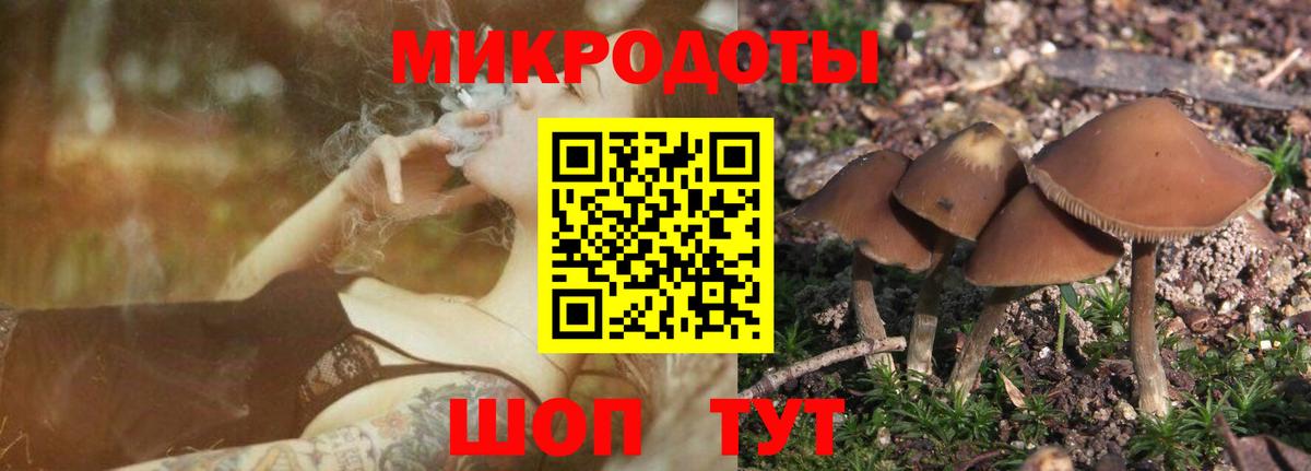 Псилоцибиновые грибы MAGIC MUSHROOMS  Псилоцибиновые грибы Cubensis  Вход с VPN  Кандалакша 