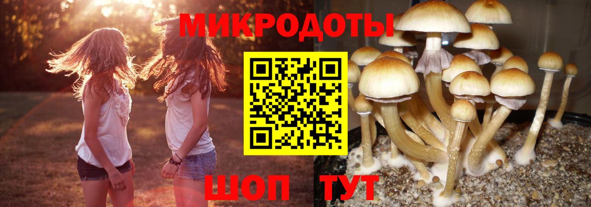 Псилоцибиновые грибы GOLDEN TEACHER Кандалакша